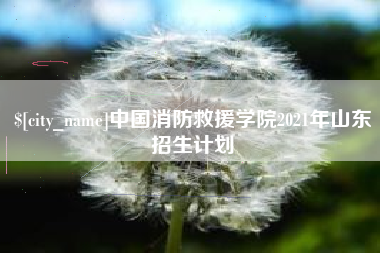 防城港中国消防救援学院2021年山东招生计划