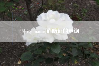 防城港消防证的查询