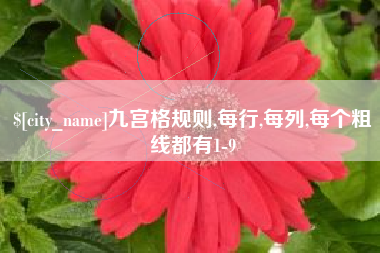 防城港九宫格规则,每行,每列,每个粗线都有1-9