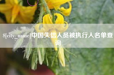 防城港中国失信人员被执行人名单查询