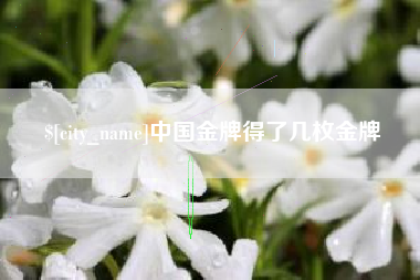 防城港中国金牌得了几枚金牌