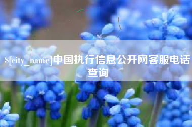 防城港中国执行信息公开网客服电话查询