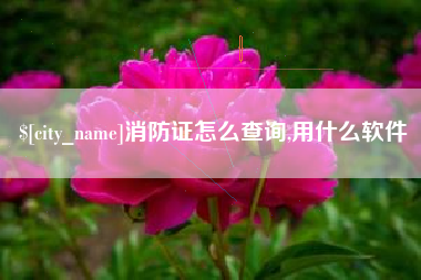 防城港消防证怎么查询,用什么软件
