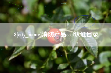 防城港消防产品cccf认证目录