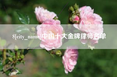 防城港中国十大金牌律师名单