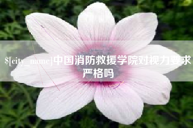 防城港中国消防救援学院对视力要求严格吗