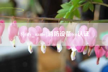 防城港消防设备ccc认证