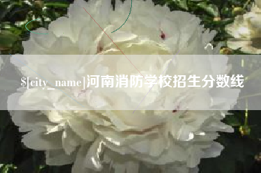 防城港河南消防学校招生分数线