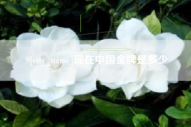 防城港现在中国金牌是多少
