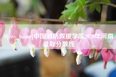 防城港中国消防救援学院2020年河南录取分数线