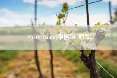 防城港中国队 冠军