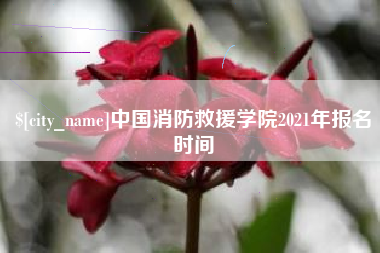 防城港中国消防救援学院2021年报名时间