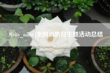 防城港全国消防日主题活动总结