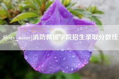 防城港消防救援学院招生录取分数线