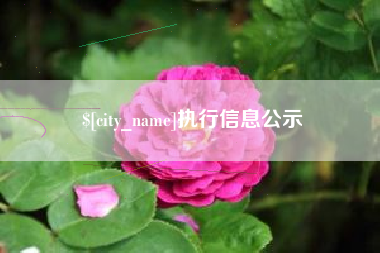 防城港执行信息公示