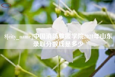 防城港中国消防救援学院2021年山东录取分数线是多少