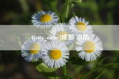 防城港成都 消防