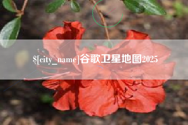 防城港谷歌卫星地图2025