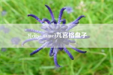 防城港九宫格盘子