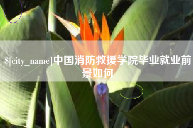 防城港中国消防救援学院毕业就业前景如何