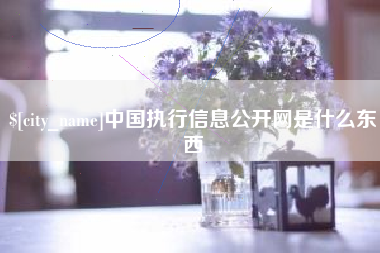 防城港中国执行信息公开网是什么东西