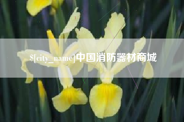 防城港中国消防器材商城