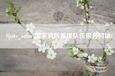 防城港国家消防救援队伍报名网址