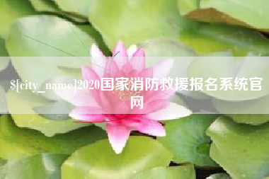 防城港2020国家消防救援报名系统官网
