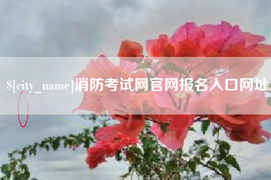 防城港消防考试网官网报名入口网址