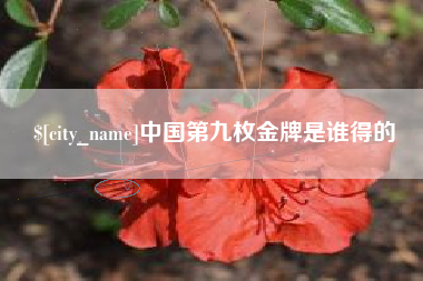 防城港中国第九枚金牌是谁得的