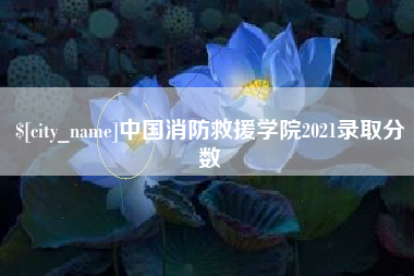 防城港中国消防救援学院2021录取分数