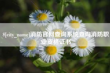 防城港消防官网查询系统查询消防职业资格证书