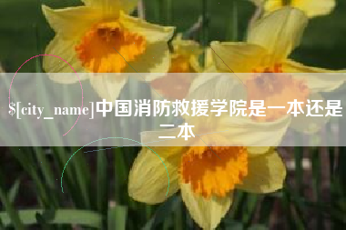 防城港中国消防救援学院是一本还是二本