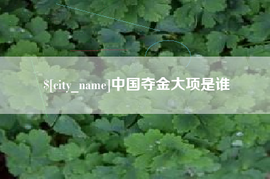 防城港中国夺金大项是谁