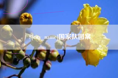 防城港国家队图案