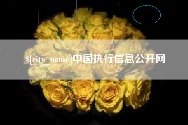 防城港中国执行信息公开网