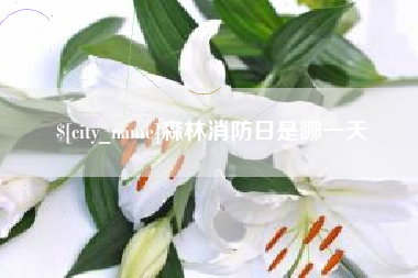 防城港森林消防日是哪一天