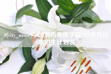 防城港中国消防救援学院2020年在山东招生计划表