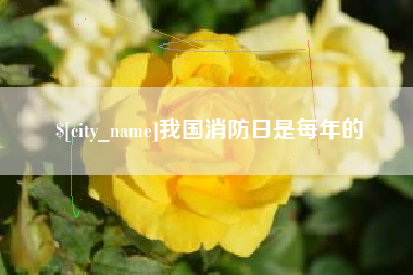 防城港我国消防日是每年的
