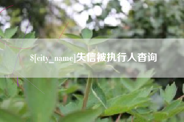 防城港失信被执行人杳询