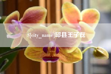 防城港邱县王子磊