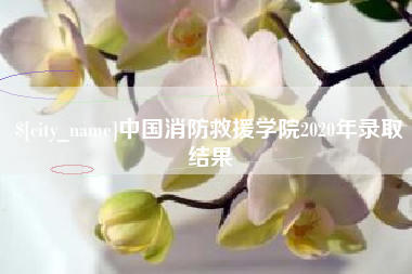 防城港中国消防救援学院2020年录取结果