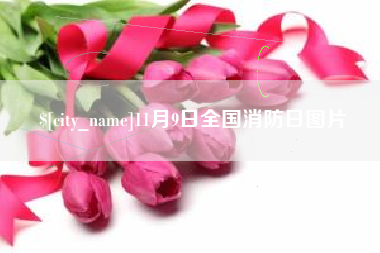 防城港11月9日全国消防日图片