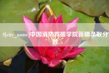 防城港中国消防救援学院新疆录取分数