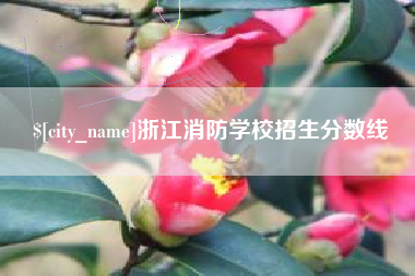 防城港浙江消防学校招生分数线