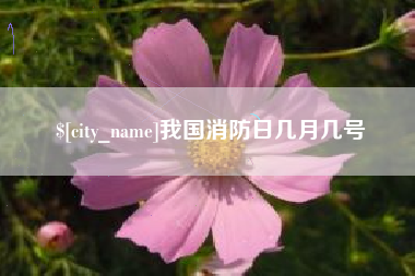 防城港我国消防日几月几号