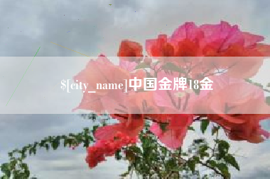 防城港中国金牌18金