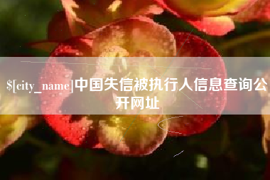 防城港中国失信被执行人信息查询公开网址