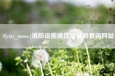 防城港消防设施操作员证书查询网址