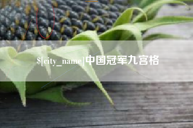 防城港中国冠军九宫格